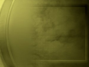域名竞价后域名数据备份建议